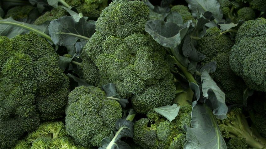 fish and broccoli